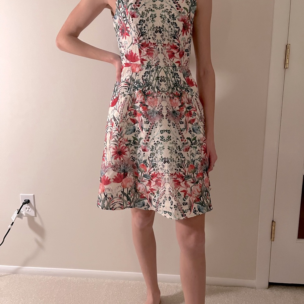 Ted baker floral a line dress